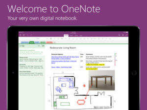 OneNote iPad screenshot