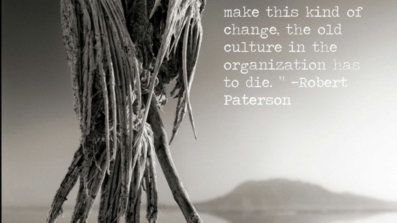 Robert Paterson - old culture has to die
